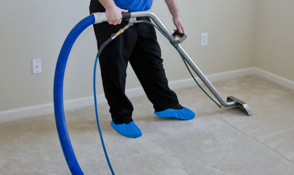 carpet-shampooing carpet cleaning services halifax ns